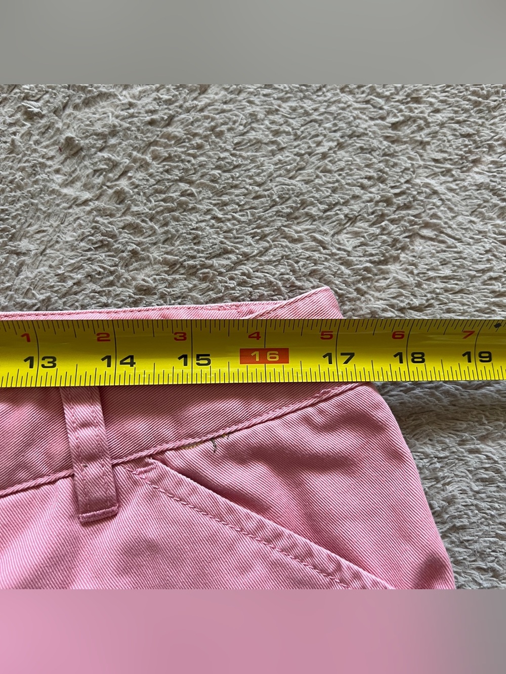 J. Crew Favorite Fit Bee Embroidered Cotton Ankle Pants Cottage Whimsical Sz 12 - Picture 6 of 6